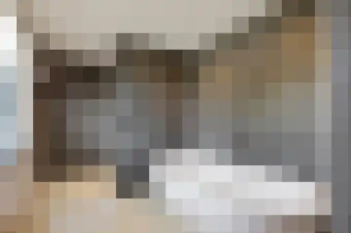 Julianastraat 26 Echt thumbnail 49
