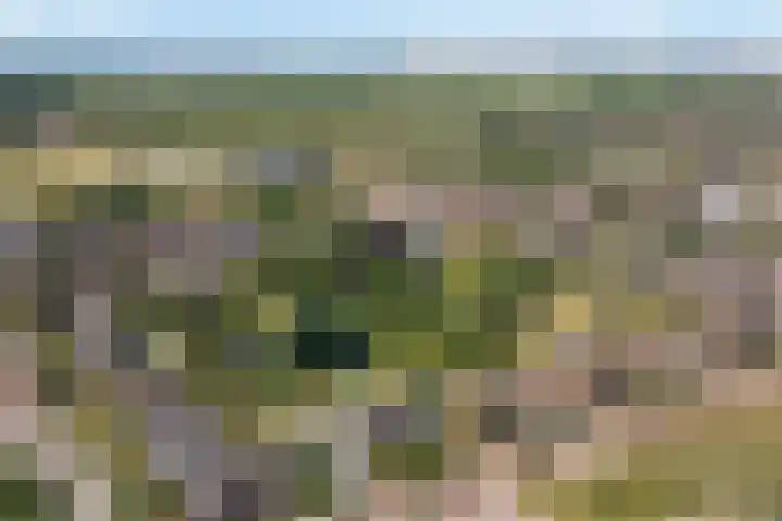 Julianastraat 26 Echt thumbnail 5