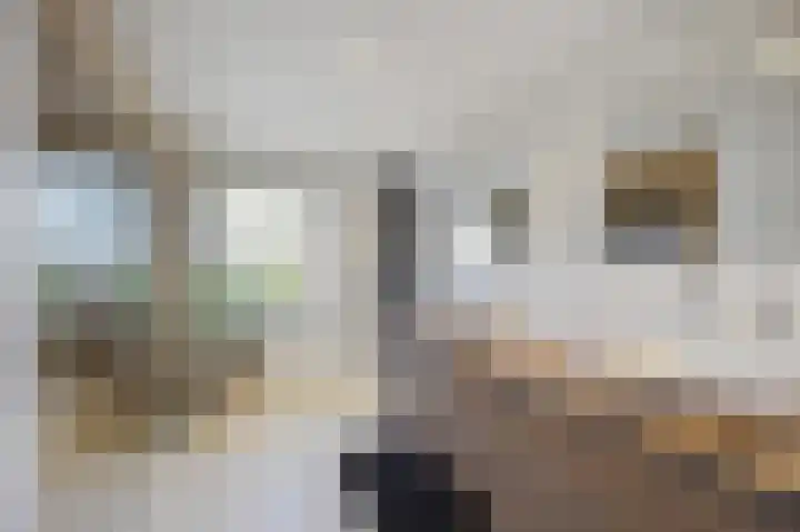 Julianastraat 26 Echt thumbnail 51