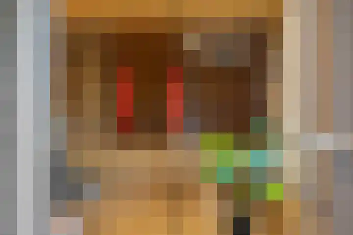 Julianastraat 26 Echt thumbnail 52