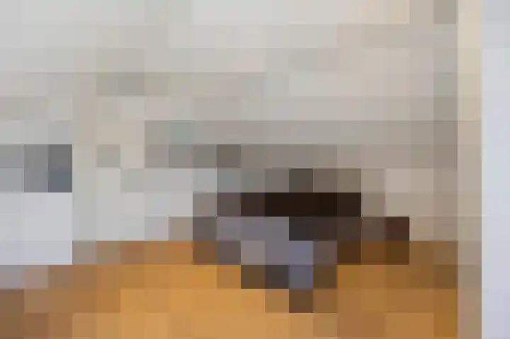 Julianastraat 26 Echt thumbnail 57