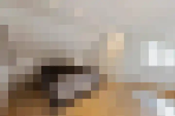 Julianastraat 26 Echt thumbnail 58