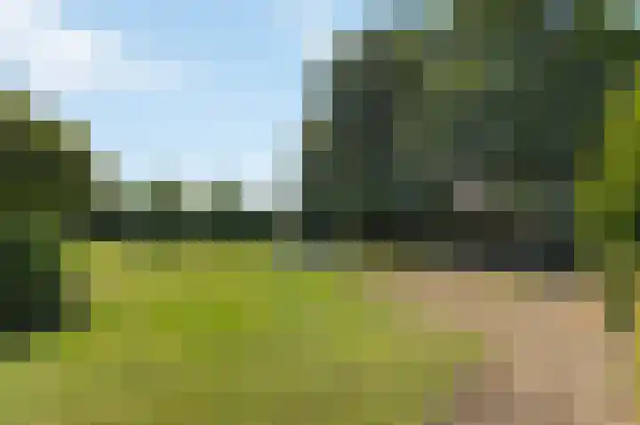 Julianastraat 26 Echt thumbnail 63