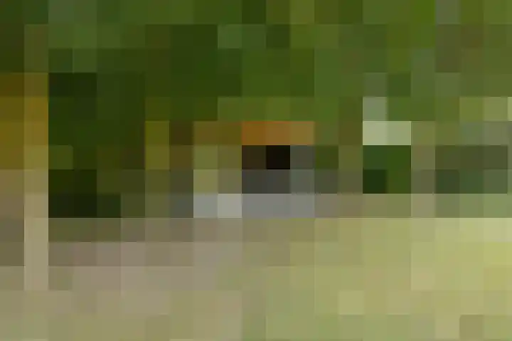 Julianastraat 26 Echt thumbnail 66