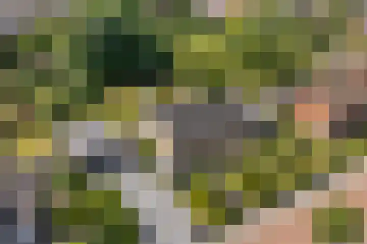 Julianastraat 26 Echt thumbnail 7