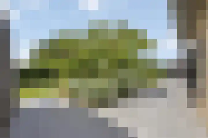 Julianastraat 26 Echt thumbnail 76