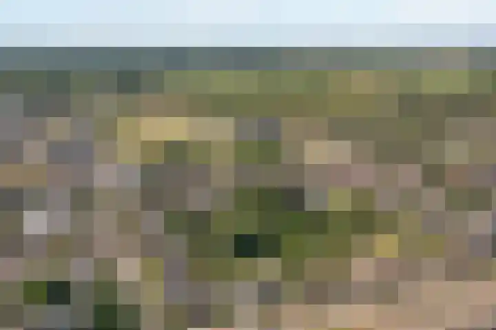 Julianastraat 26 Echt thumbnail 80