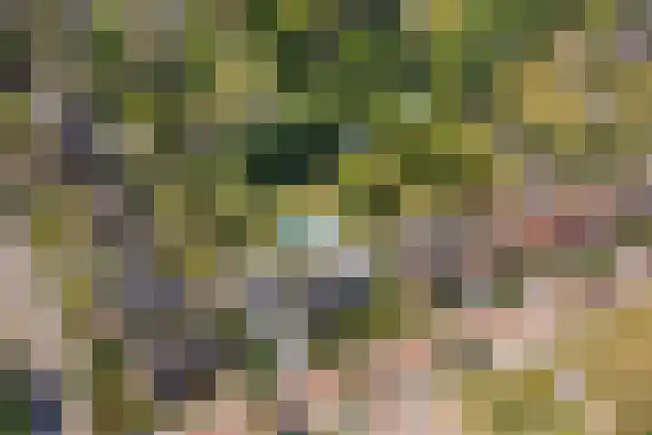 Julianastraat 26 Echt thumbnail 82