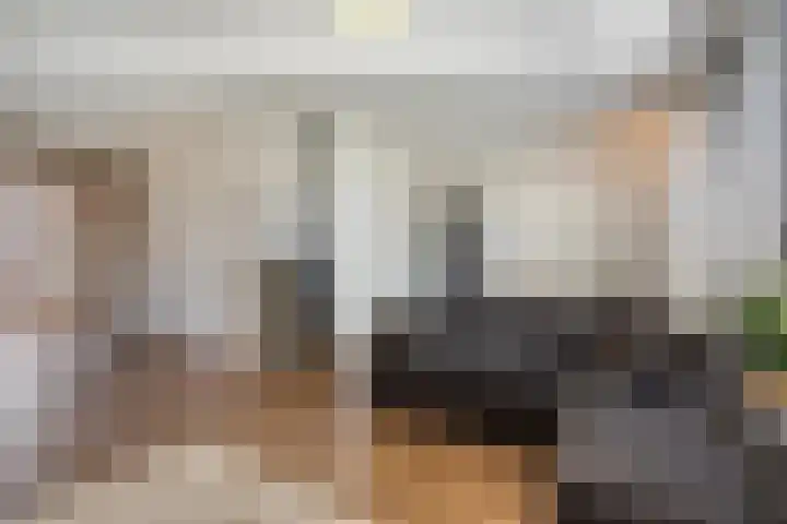 Julianastraat 26 Heeswijk-Dinther thumbnail 10
