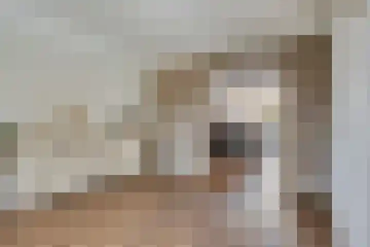 Julianastraat 26 Heeswijk-Dinther thumbnail 12