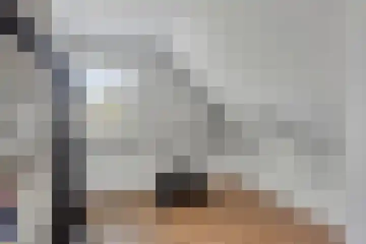 Julianastraat 26 Heeswijk-Dinther thumbnail 22