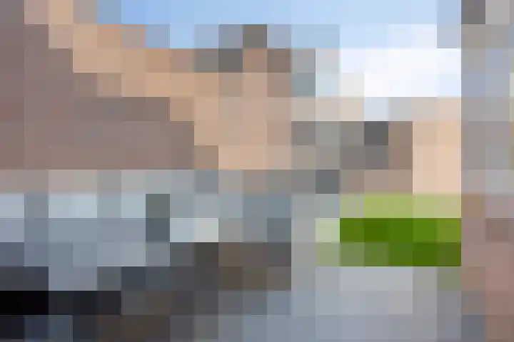 Julianastraat 26 Heeswijk-Dinther thumbnail 30