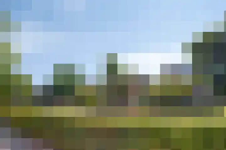 Julianastraat 26 Heeswijk-Dinther thumbnail 36