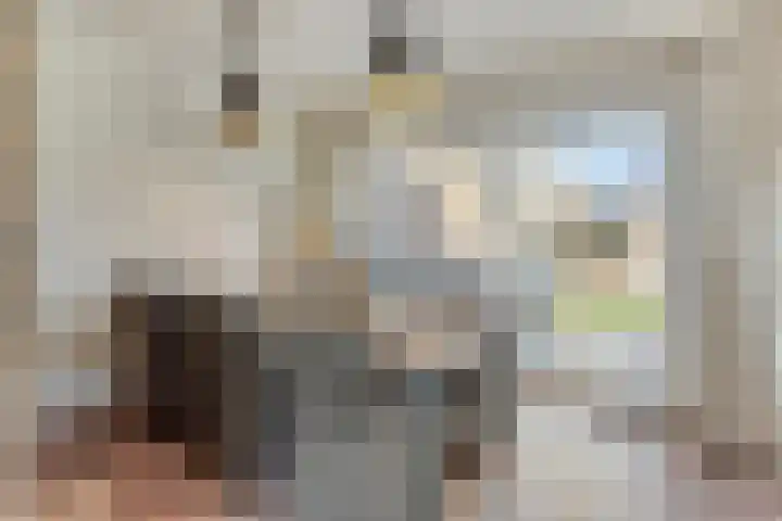 Julianastraat 26 Heeswijk-Dinther thumbnail 4