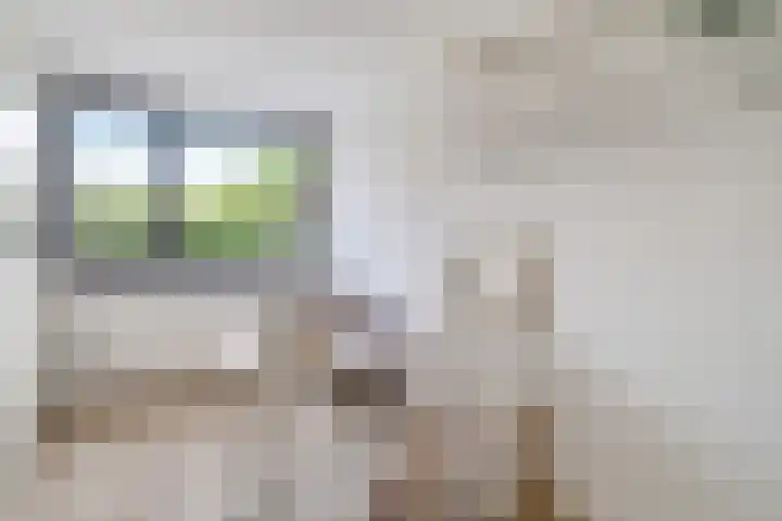 Julianastraat 26 Merkelbeek thumbnail 16