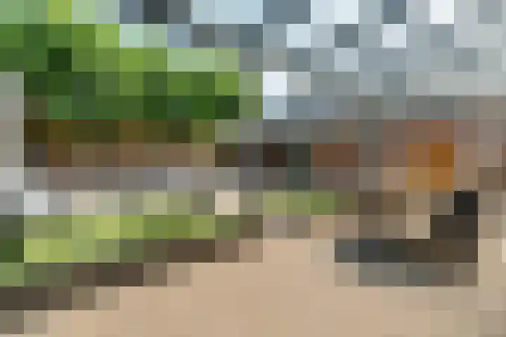 Julianastraat 26 Merkelbeek thumbnail 5