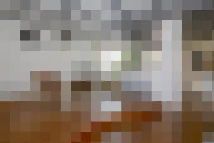 Julianastraat 26 Noordwijk thumbnail 12