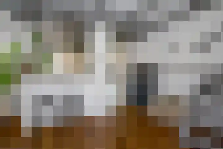 Julianastraat 26 Noordwijk thumbnail 14