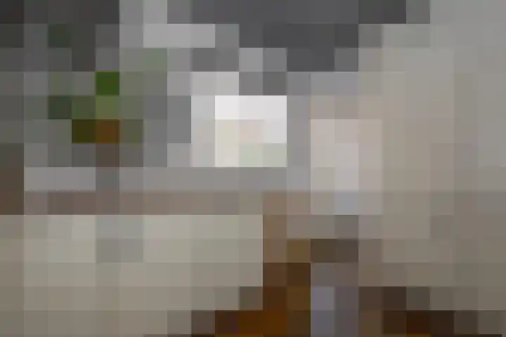 Julianastraat 26 Noordwijk thumbnail 16
