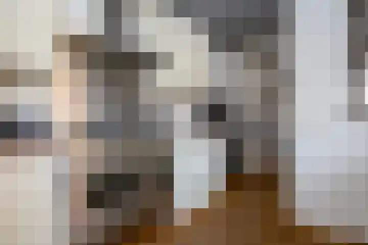 Julianastraat 26 Noordwijk thumbnail 17