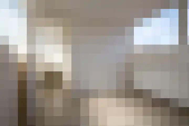 Julianastraat 26 Noordwijk thumbnail 46