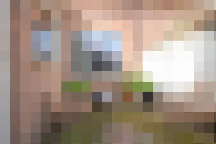 Julianastraat 26 Noordwijk thumbnail 48