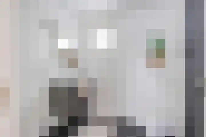Julianastraat 26 Valkenswaard thumbnail 18