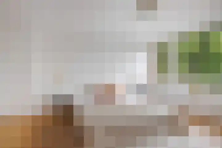 Julianastraat 26 Valkenswaard thumbnail 20
