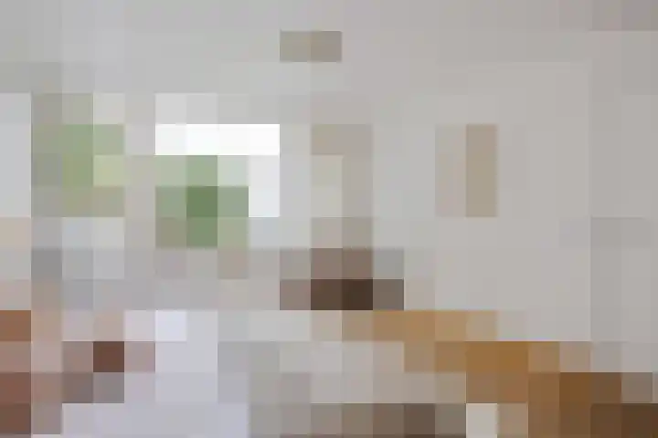Julianastraat 26 Valkenswaard thumbnail 21