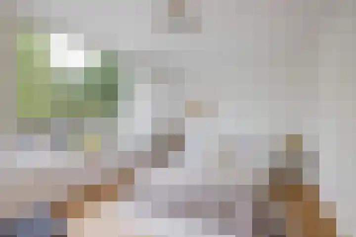 Julianastraat 26 Valkenswaard thumbnail 22