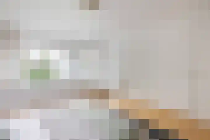 Julianastraat 26 Valkenswaard thumbnail 26