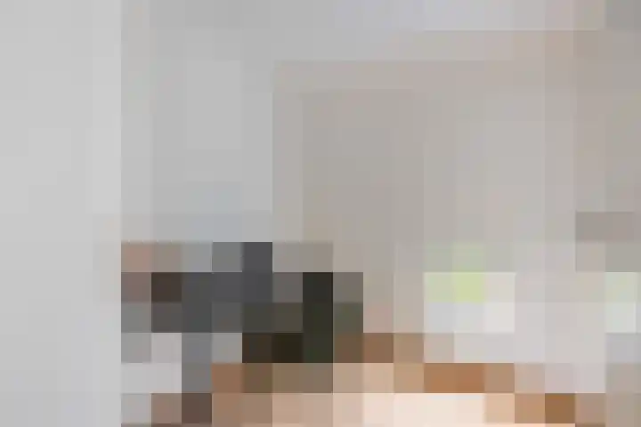 Julianastraat 26 Valkenswaard thumbnail 29