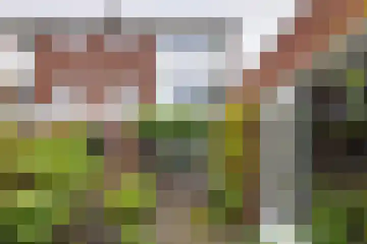 Julianastraat 26 Valkenswaard thumbnail 32