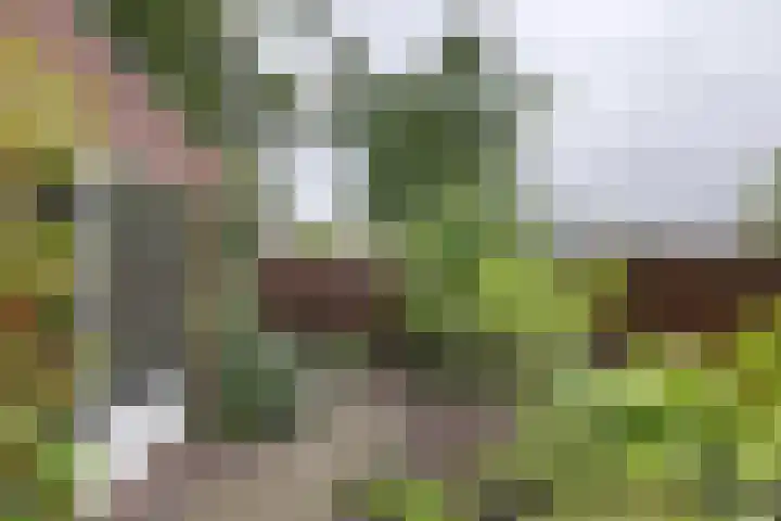 Julianastraat 26 Valkenswaard thumbnail 33