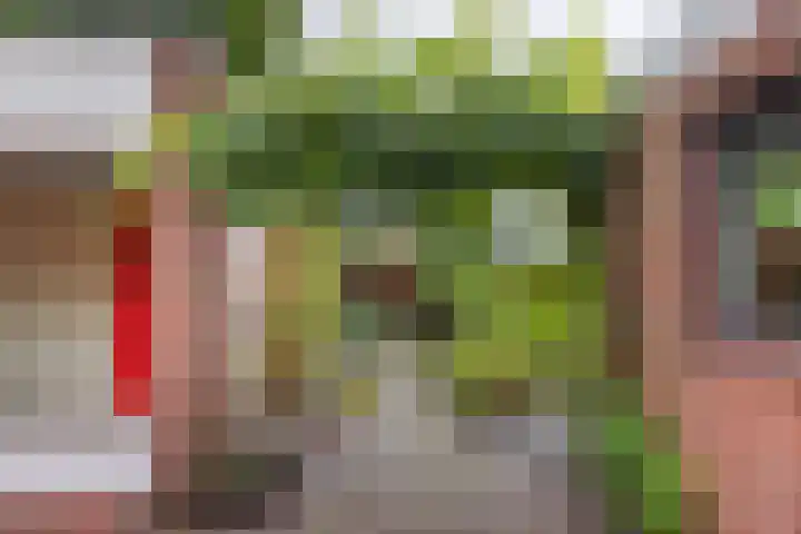 Julianastraat 26 Valkenswaard thumbnail 34