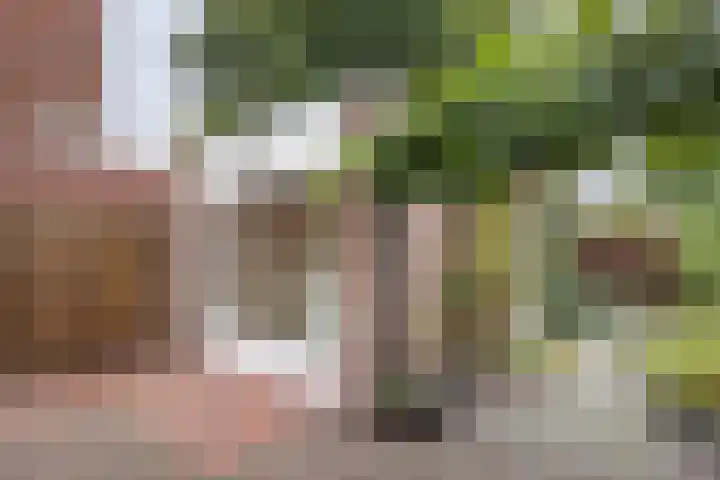 Julianastraat 26 Valkenswaard thumbnail 35