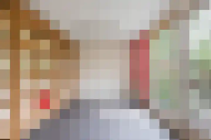 Julianastraat 26 Valkenswaard thumbnail 36