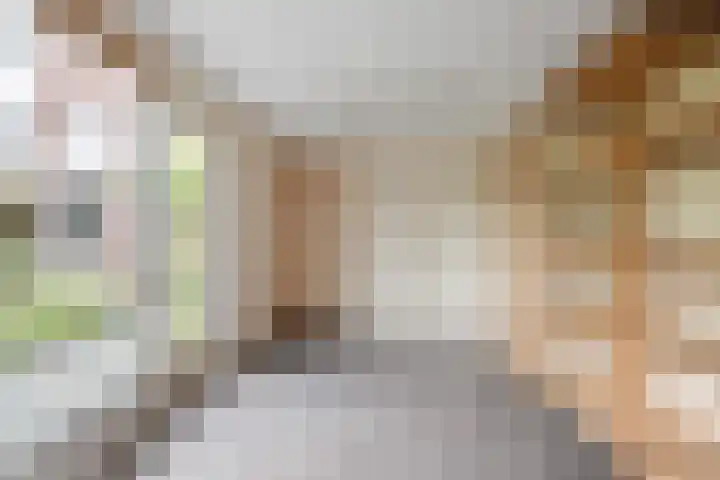 Julianastraat 26 Valkenswaard thumbnail 37
