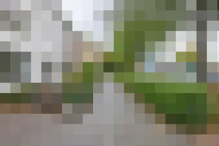 Julianastraat 26 Valkenswaard thumbnail 38