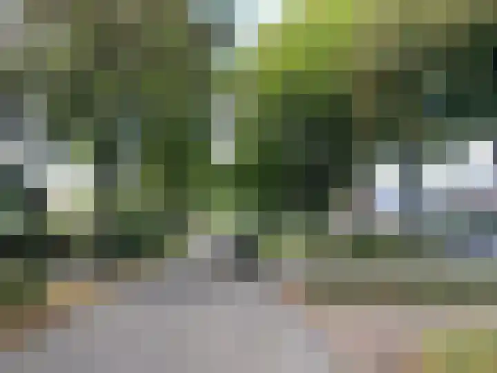 Julianastraat 26 Valkenswaard thumbnail 39