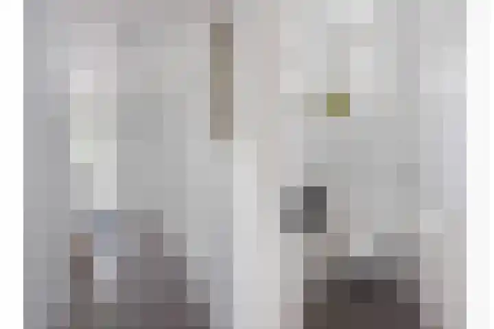 Julianastraat 26 Valkenswaard thumbnail 4