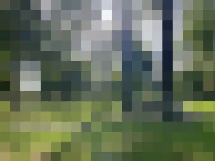 Julianastraat 26 Valkenswaard thumbnail 40
