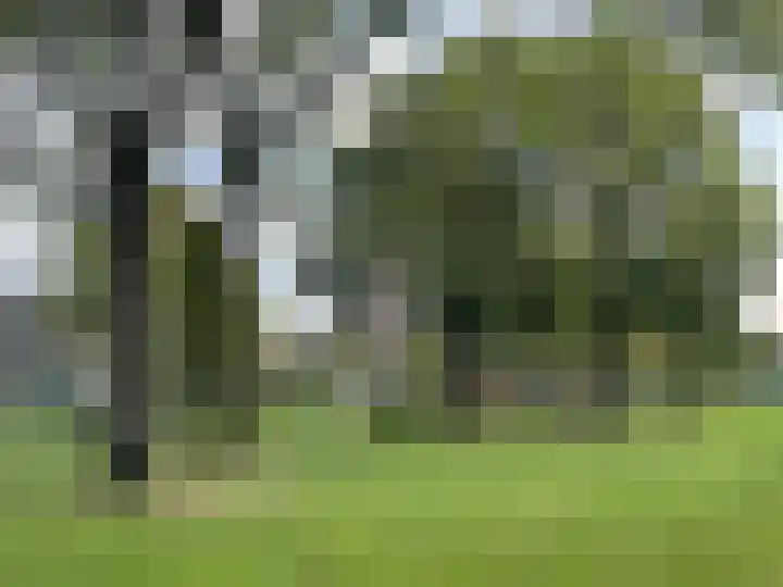 Julianastraat 26 Valkenswaard thumbnail 41