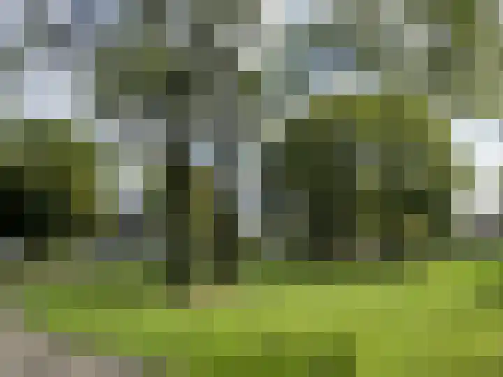 Julianastraat 26 Valkenswaard thumbnail 42
