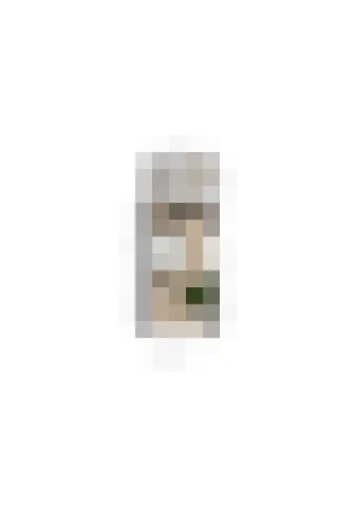Julianastraat 26 Valkenswaard thumbnail 47