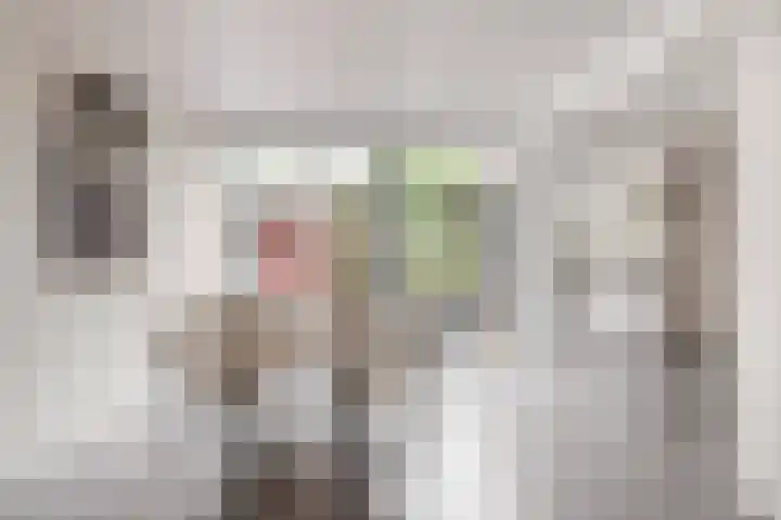 Julianastraat 26 Valkenswaard thumbnail 9