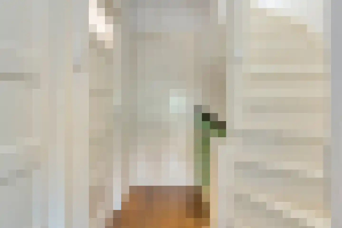 Julianastraat 27 Eindhoven thumbnail 20