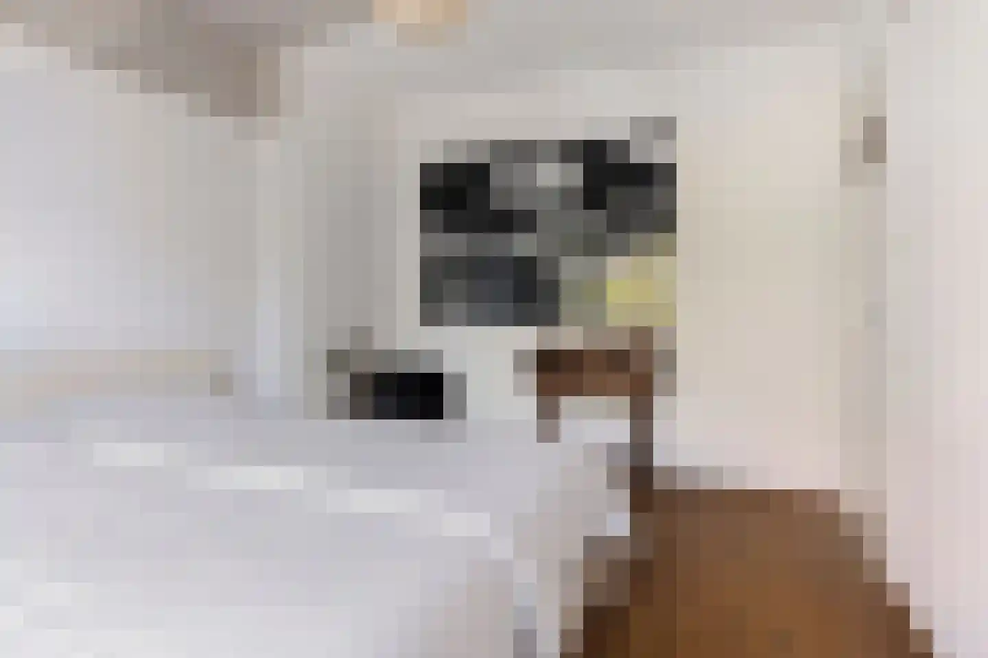 Julianastraat 27 Eindhoven thumbnail 23