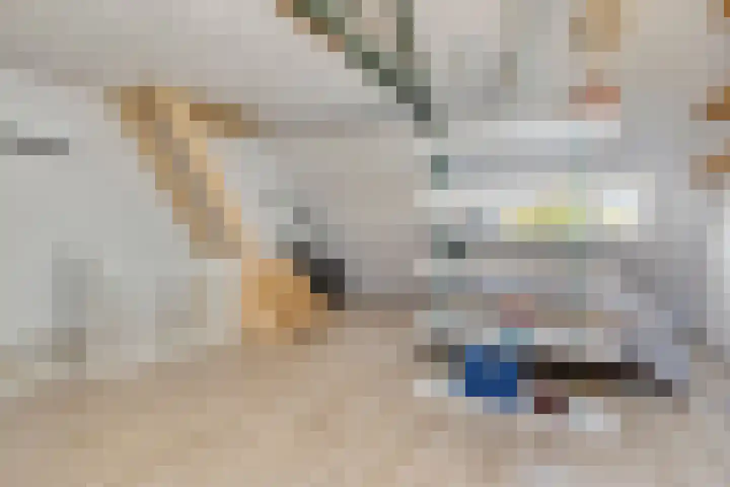 Julianastraat 27 Eindhoven thumbnail 35