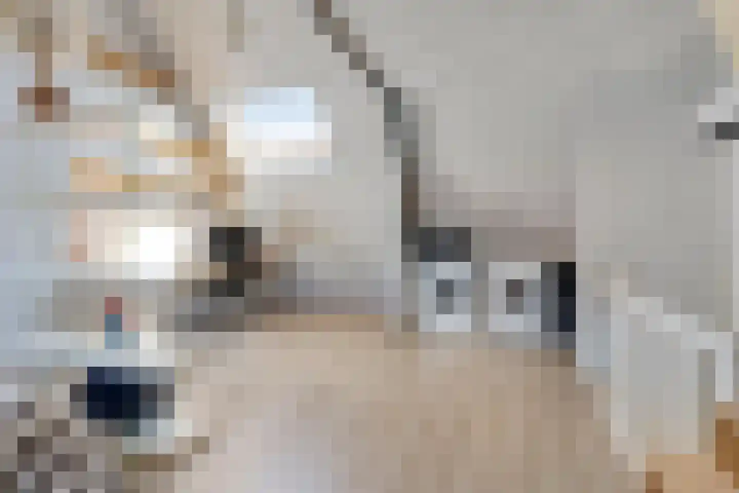 Julianastraat 27 Eindhoven thumbnail 36